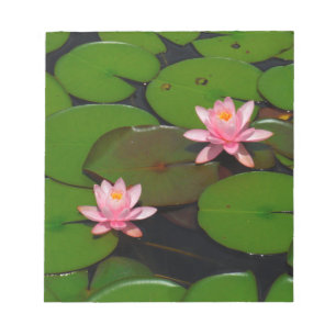 Rosa lotus vatten lily blomsterträdgård. anteckningsblock