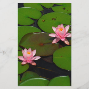 Rosa lotus vatten lily blomsterträdgård. brevpapper