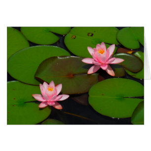 Rosa lotus vatten lily blomsterträdgård. hälsningskort