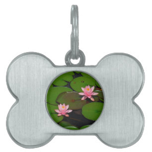 Rosa lotus vatten lily blomsterträdgård. ID-bricka husdjur