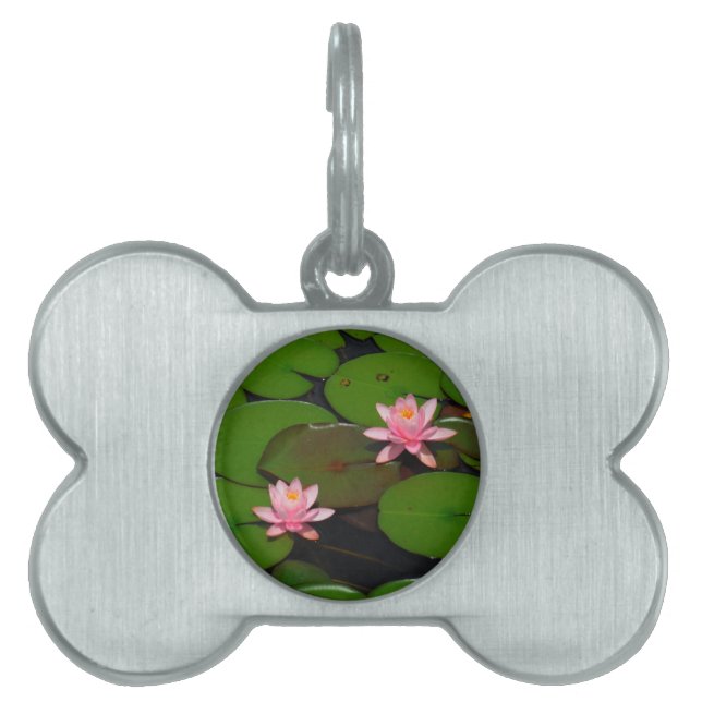 Rosa lotus vatten lily blomsterträdgård. ID-bricka husdjur (Framsidan)