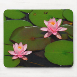 Rosa lotus vatten lily blomsterträdgård. musmatta
