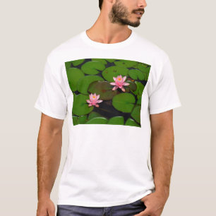 Rosa lotus vatten lily blomsterträdgård. tee