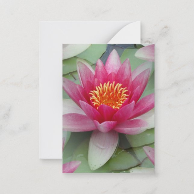 Rosa Lotus Vatten Lily Flat Note Card Anteckningskort (Framsida)