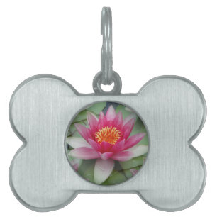 Rosa Lotus Vatten Lily Framed Pet Tag ID-bricka Husdjur