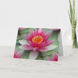 Rosa Lotus Vatten Lily Kort