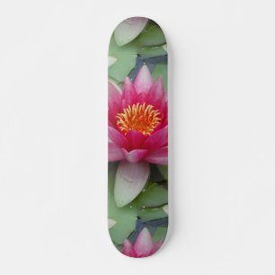 Rosa Lotus Vatten Lily Mini Skateboard Bräda 18,5 Cm