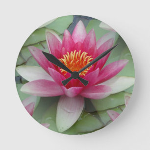 Rosa Lotus Vatten Lily Rund Klocka