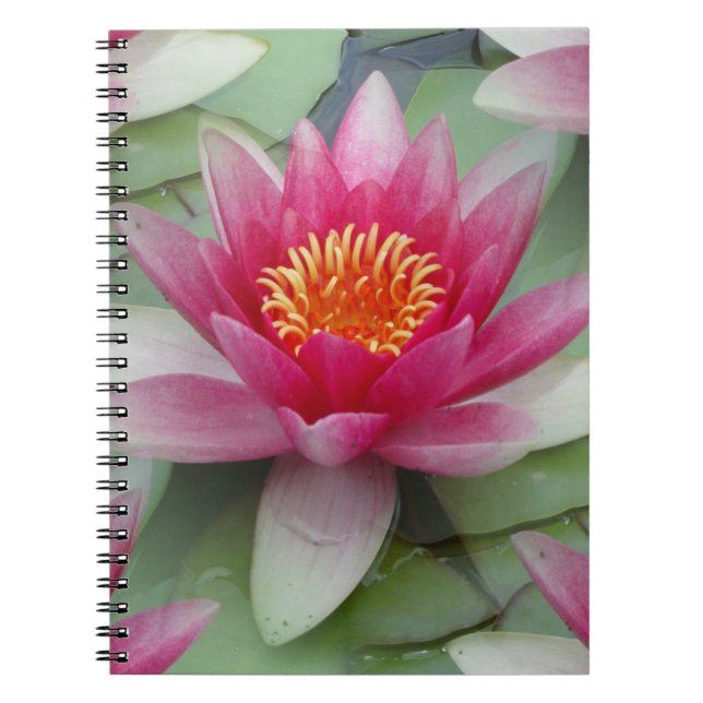 Rosa Lotus Vatten Lily Spiral fotopatbok för bärba Anteckningsbok (Framsidan)
