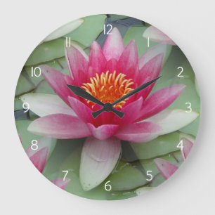 Rosa Lotus Vatten Lily Stor Klocka
