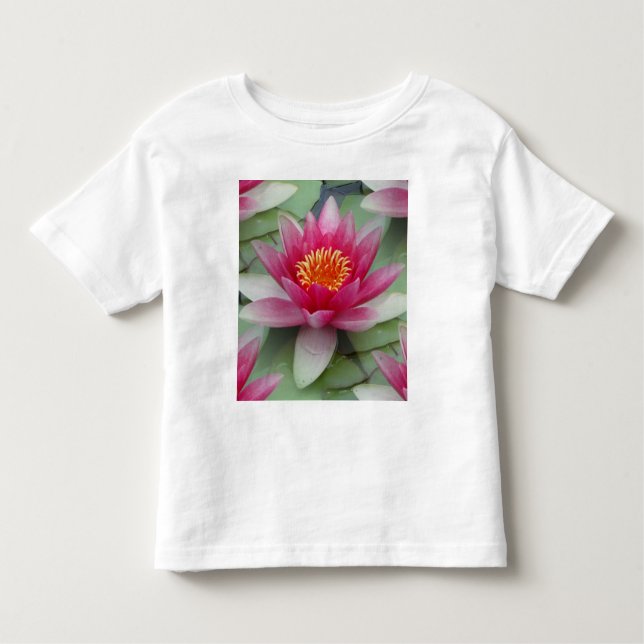 Rosa Lotus Vatten Lily T Shirt (Framsida)