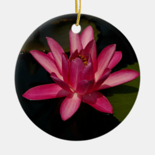 Rosa Lotus vattenfritt blommande Ornament