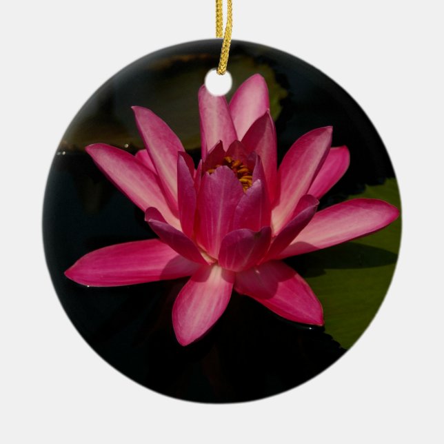 Rosa Lotus vattenfritt blommande Ornament (Framsidan)