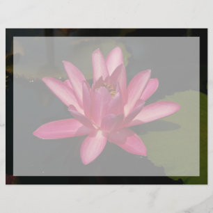Rosa lotus vattenlilja blomma