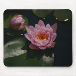 Rosa Lotus Waterlilies Mouse Pad Musmatta