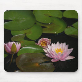 Rosa Lotus Waterlilies Mouse Pad Musmatta