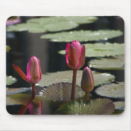 Rosa Lotus Waterlilies Mouse Pad Musmatta