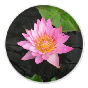 Rosa Lotus Waterlily Ceramic Knob Knopp