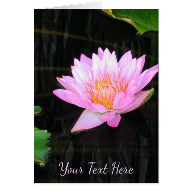 Rosa Lotus Waterlily Hälsningskort (Framsidan)