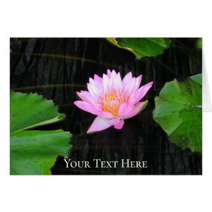 Rosa Lotus Waterlily Hälsningskort