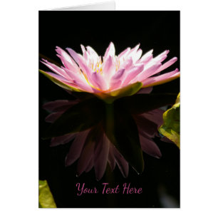 Rosa Lotus Waterlily Hälsningskort