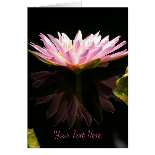 Rosa Lotus Waterlily Hälsningskort (Framsidan)