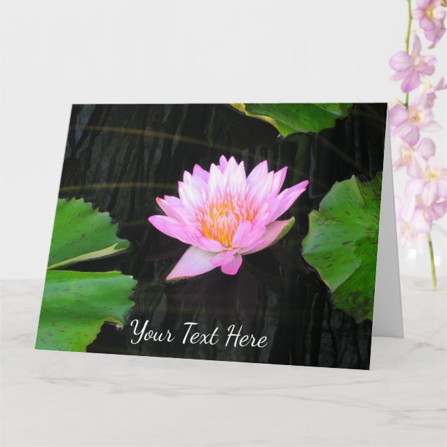 Rosa Lotus Waterlily Kort (Orkide)