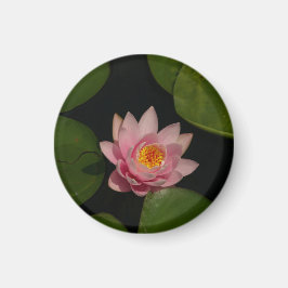 Rosa Lotus Waterlily magnet