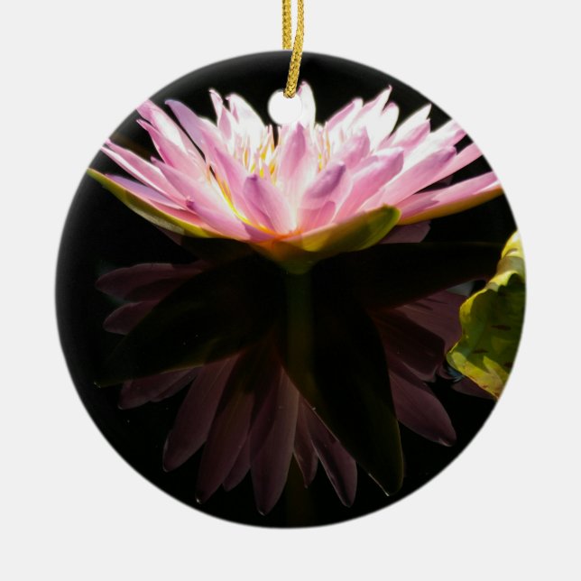 Rosa Lotus Waterlily Ornament (Framsidan)
