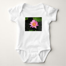 Rosa Lotus Waterlily