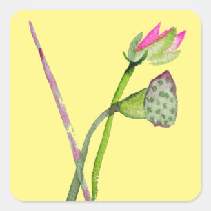 Rosa Lotus Zen-blomman Buddhist Art Fyrkantigt Klistermärke