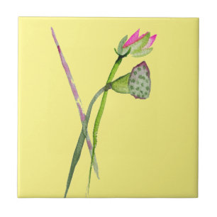 Rosa Lotus Zen-blomman Buddhist Art Kakelplatta