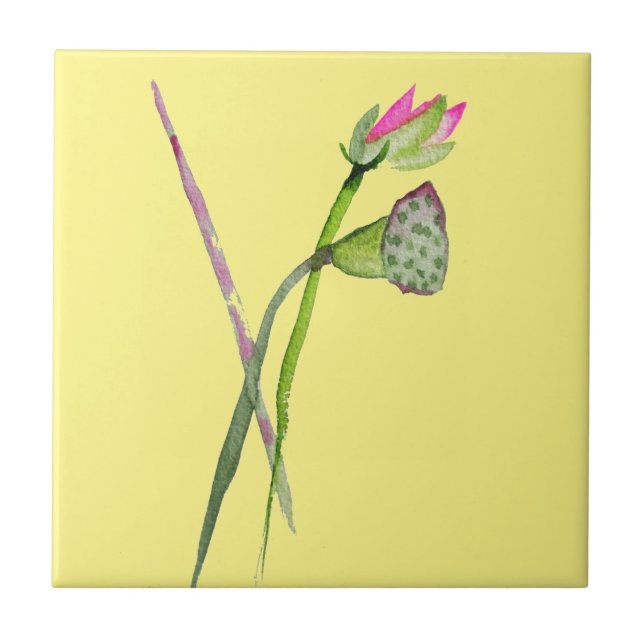 Rosa Lotus Zen-blomman Buddhist Art Kakelplatta (Framsidan)