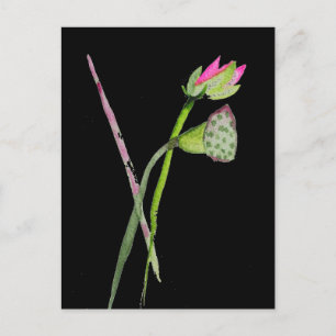 Rosa Lotus Zen-blomman Buddhist Art Vykort