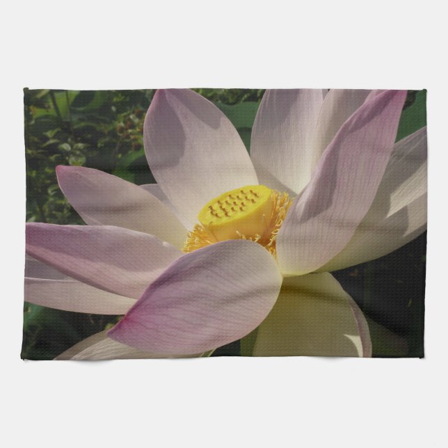 Rosa Lotusblomma III Sommarblomma Kökshandduk (Horisontell)