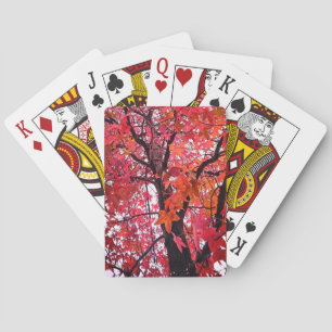 Rosa löv casinokort