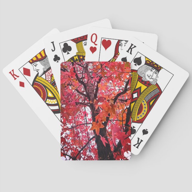 Rosa löv casinokort (Baksidan)