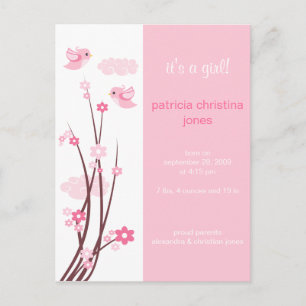 Rosa Love birds Vår blommor Baby meddelande Vykort