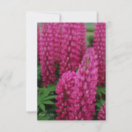 Rosa Lupine-platta anteckningskort