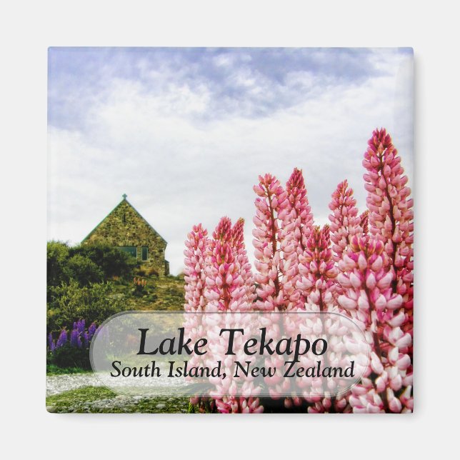 Rosa Lupins @ Sjö Tekapo New Zealand Magnet (Framsidan)