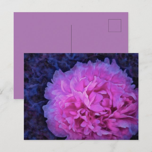 Rosa Lush Peony Flower Vykort (Fram/baksida)