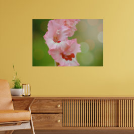 Rosa Lycklig Sunshine Gladiolus Flowers Arty Poster