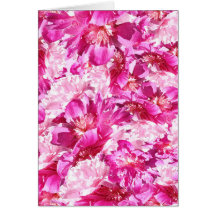 Rosa & Magenta Pion Floral Mönster Blank