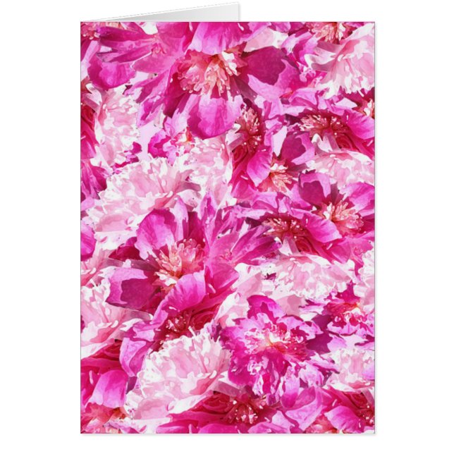 Rosa & Magenta Pion Floral Mönster Blank Hälsningskort (Framsidan)