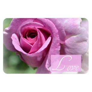 Rosa magnet för sommar