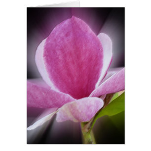 rosa magnolia-blomma hälsningskort
