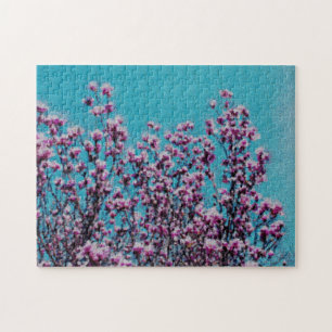Rosa Magnolia Blommar Blå himmel Photo Painting Pussel