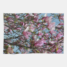 Rosa Magnolia Flower Blooms