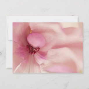 Rosa Magnolia Flower - Magnolias-mall