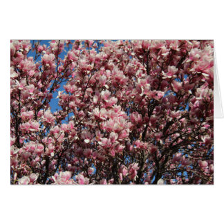 Rosa Magnolia Hälsningskort